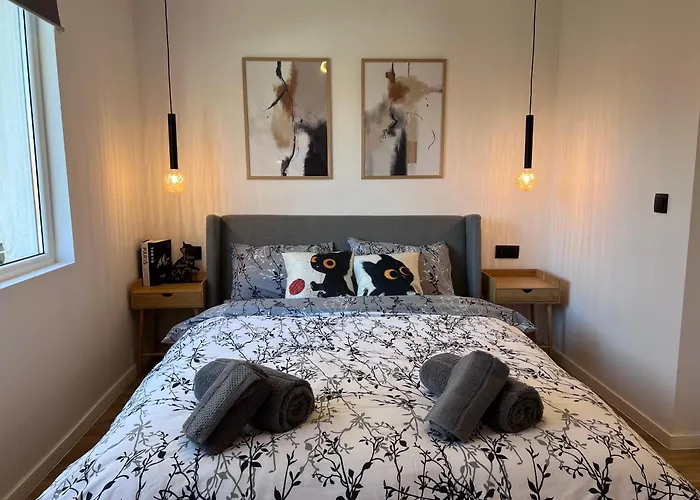 Black Cat Apartment
