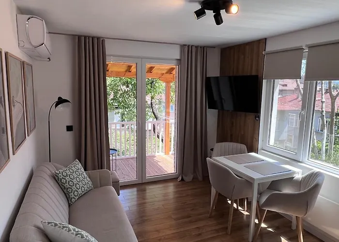Black Cat Apartment